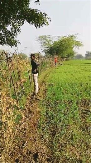 आज हम गए घूमने के लिए #shotsvideo