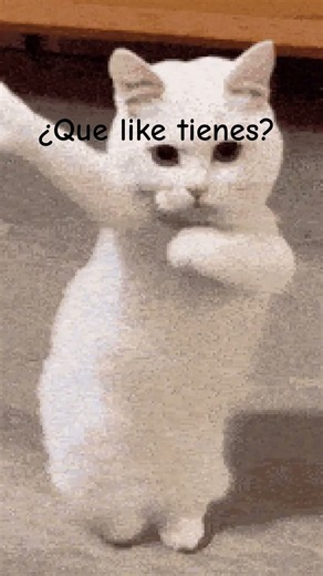 #cat