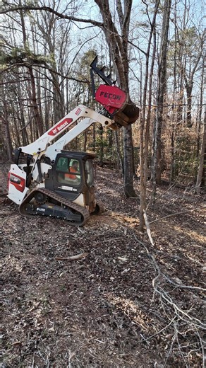 Efficient Forestry Mulching Solutions