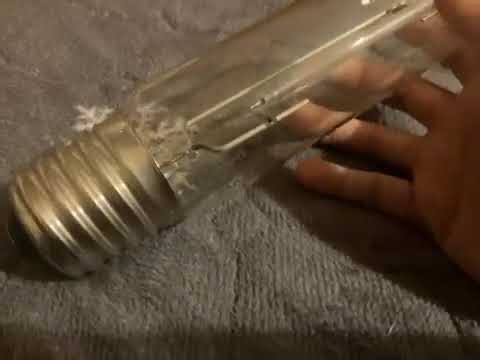 Philips HPS light bulb