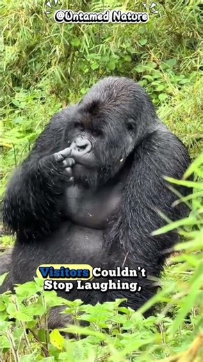 "Funny Orangutan Picking Its Nose in the Jungle 🐵😂"