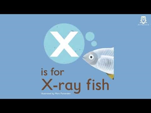 X is for X Ray Fish (The Animal Alphabet Library) with Audio, illustrated by Marc Pattenden | 2021