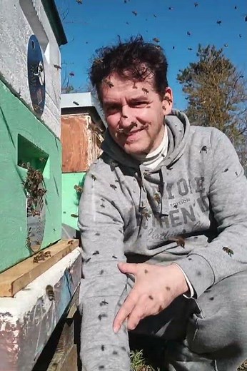 Friendly bees -Freundliche Bienen