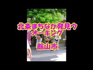 館山市北条まちなか発見WKG H1808