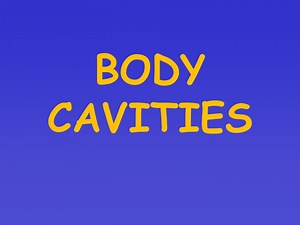 BODY CAVITIES - SlideServe