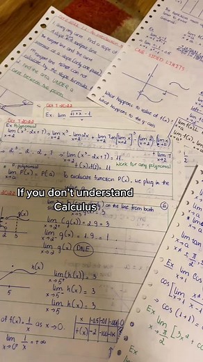 Professor Leonard on the rescue #calculus #limit #collegelife | Professor Leonard