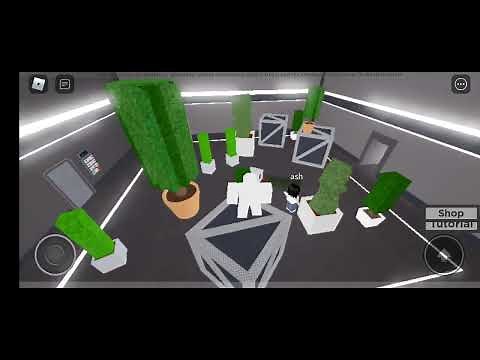 Find The Code [All Stages]