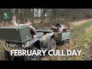 34 Deer in a Day! One of Our Biggest Cull Days Yet!