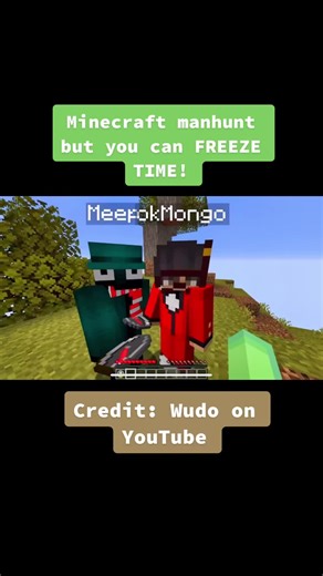 #minecraft #timefreeze #moddedminecraft #t credit: Wudo on youtube