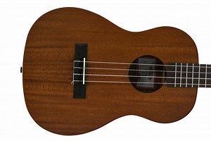Kala KA-B Baritone Ukulele - Terry Carter Music Store