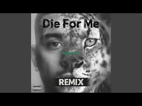 ZAYN - DIE FOR ME (REMIX)