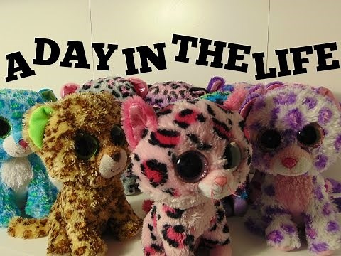 Beanie Boo Studios~A Day in the Life of the Leopard Family