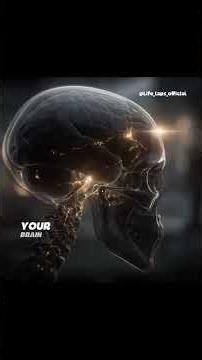 the brain storage capacity and how memory works!