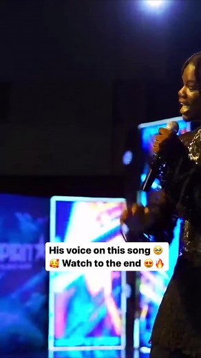 Molly The Vibe - Delivering Excellence Every Time