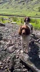 Go Tally! | Max Out in the Lake District