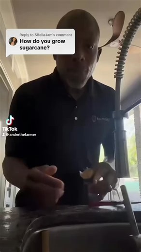 183 reactions · 14 comments | How to root a piece of sugar cane #sugarcane #gardeninghacks #andrethefarmer #growingyourownfood #plantpropagation | Andre The Farmer | Facebook