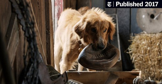 Review: ‘A Dog’s Purpose,’ With Many Lives and Many Clichés (Published 2017)