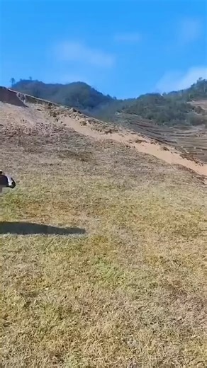 65M views · 336K reactions | First day at the farm | Exotic Planet | Facebook