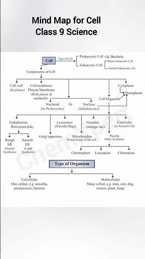 Cell| Mind Map Class 9 Cell | Science Class 9