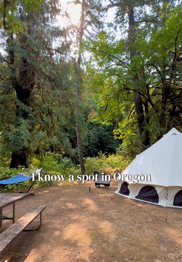 Experience Summer Adventures in Oregon's Beautiful Creeks!