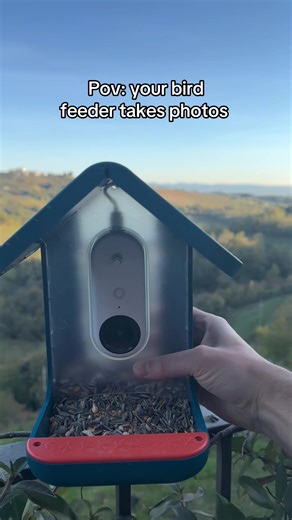 Discover the Excitement of Birdwatching with Smart Feeders
