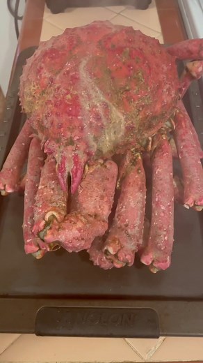 Cooking Live Spider Crabs at Home: Cherry Spider Crab Recipe