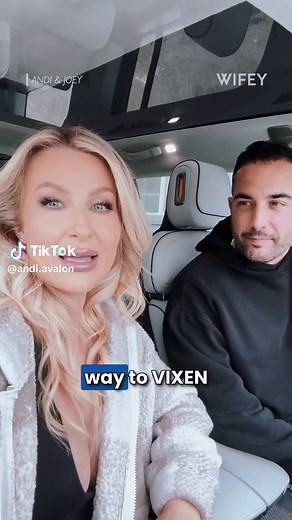 Exploring Vixens New: A Look at Wifey and Relationships