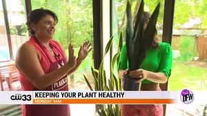 Check out Inside DFW with Jenny Anchondo MONDAY at 9a on CW33! | CW33 TV | Facebook