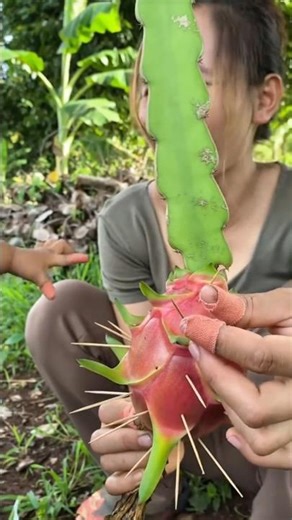 Dregan Fruit Ko Toda Maa Beti Ne #shorts