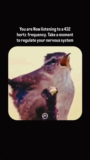 You are now listening to a 432 hertz frequency. Take a moment to regulate your nervous system.