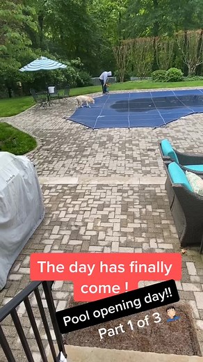 Chowder Opens the Pool - Part 1 of 3