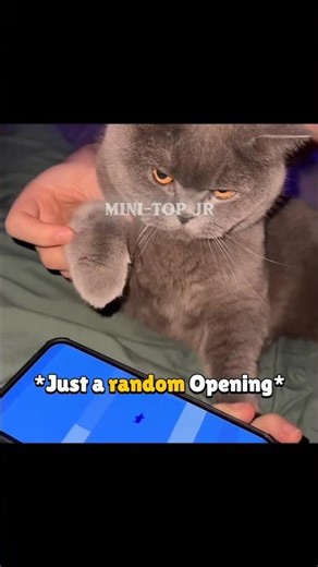 Cat LEGENDARY Starr Drop gone Wrong...☠️🔥 #shorts #brawlstars