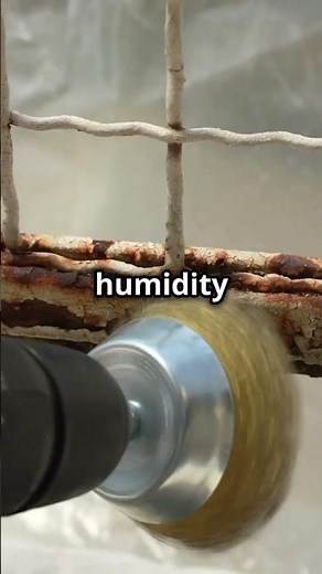 The Science of Why Metal Rusts