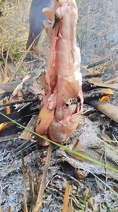 Butete o Pufferfish inihaw | Dol Kurjo Vlog