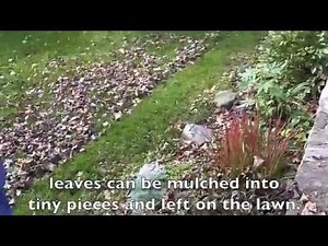 Mulching Leaves With A Mulcher Mower