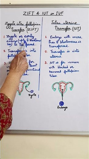 Zygote or embryo transfer in IVF || Infertility #neet Biology
