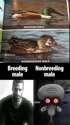 hmmmmm