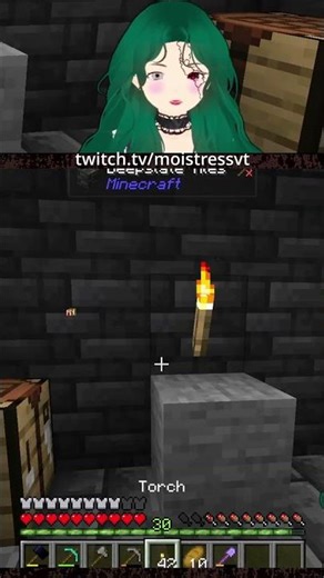 Did you know THIS about Minecraft torches?! :O