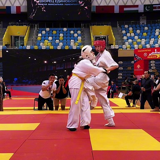 World Championship 2024: The Ultimate Kyokushin Karate Showdown 🏆