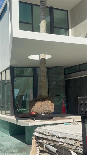 Maximize Your Earnings with the LIVE Incentive Program