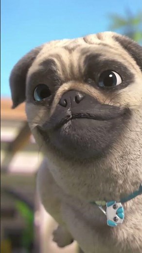 TOP PLAYERS 🐶 #Pug #MightyMike