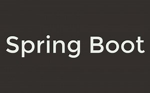 尚硅谷SpringBoot核心技术课程完整版