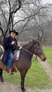 Don't Let Cowboys Repair Your Dyson or Sebo Vacuum Cleaner. Sebo & Dyson Vacuum Repairs.