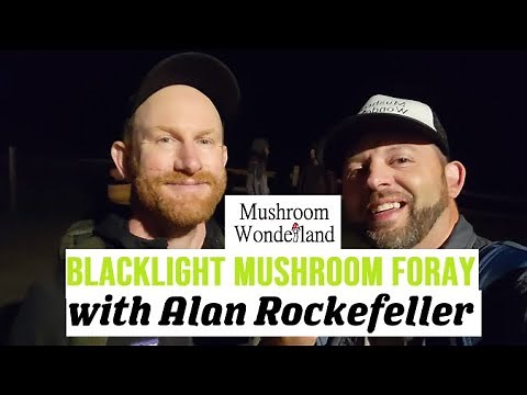 Foraging Mushrooms with a UV light with Alan Rockefeller