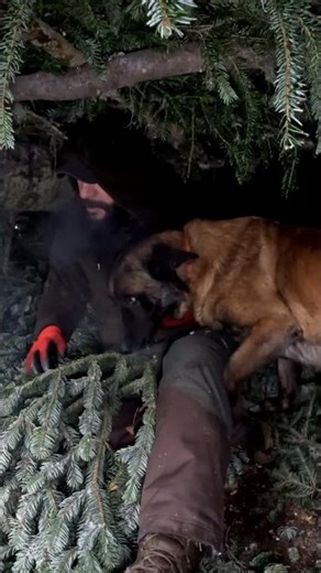 I Spent the Night in a Snow Forest with My Dog
