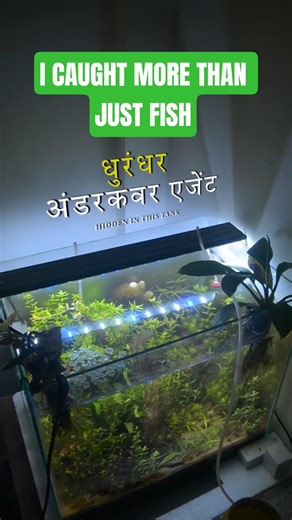 I Caught More Than Just Fish from the River 😮 #fishtank #fishing #riverfishing #aquarium