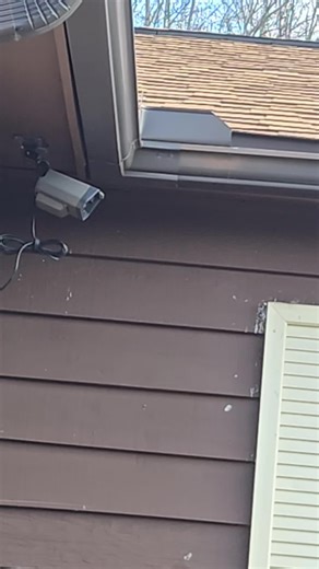 EL Toro loco (@eltoro2250)’s videos with original sound - no1.neek🏷️