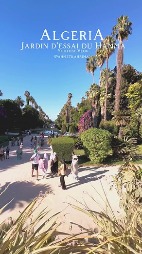 Discover the Beauty of Algeria | Algerian Vlog