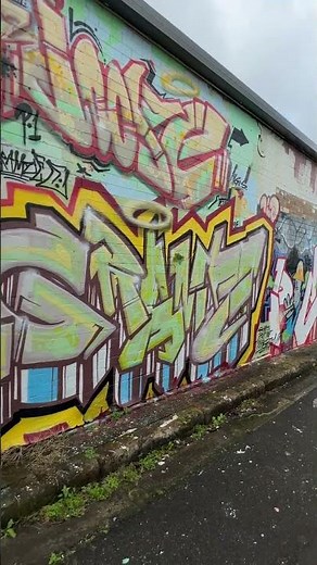 Back Alley Graffiti Art mural ~ Newtown | Sydney Australia .