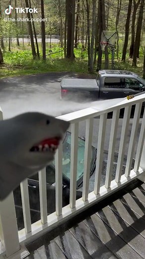 SPRINKLER!! #foryou #foryoupage #sharkpuppet